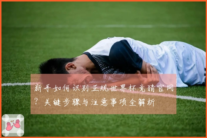 新手如何识别正规世界杯竞猜官网？关键步骤与注意事项全解析