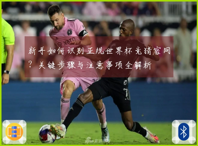 新手如何识别正规世界杯竞猜官网？关键步骤与注意事项全解析